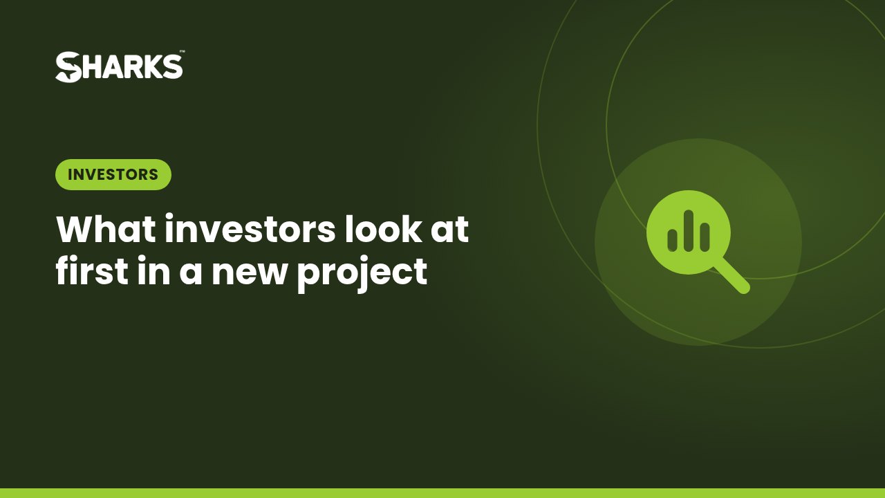What investors look at first in a new project
